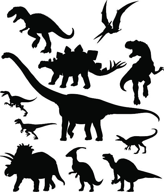 ilustrações, clipart, desenhos animados e ícones de dinosaurus conjunto de silhuetas - herbívoro