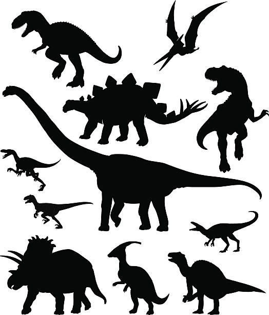 Dinosaurus Set - Silhouettes All images are placed on separate layers. They can be removed or altered if you need to. No gradients were used. No transparencies.  herbivorous stock illustrations