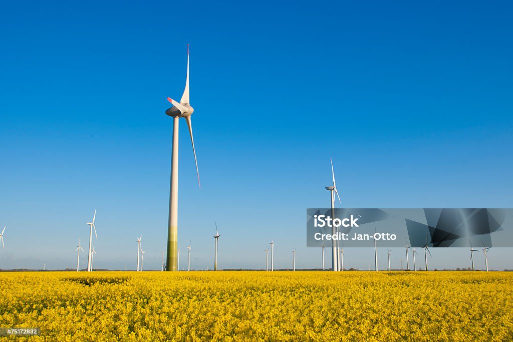 Windmühle turbines und canola in West Coast Region von Deutschland - Lizenzfrei 2015 Stock-Foto