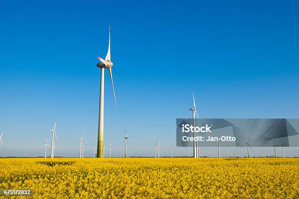 Windmühle Turbines Und Canola In West Coast Region Von Deutschland Stockfoto und mehr Bilder von 2015