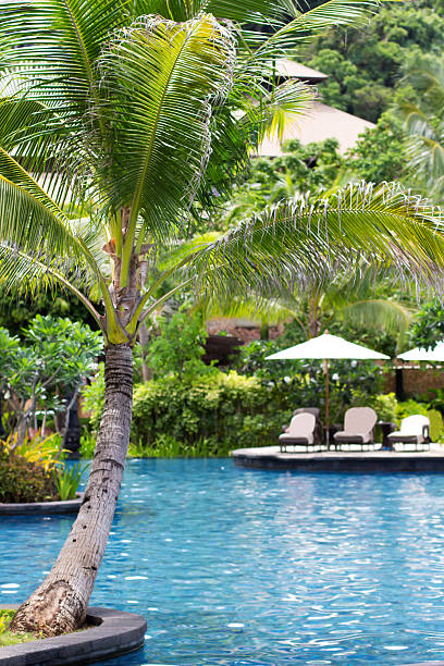 istock Swimming pool in luxury resort 475175503
