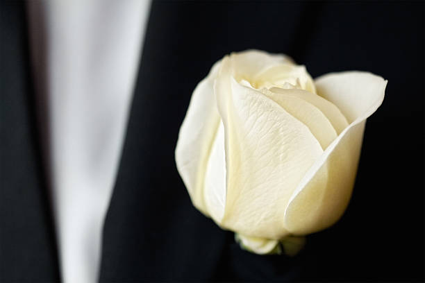 istock rose on the suit of groom 475176303