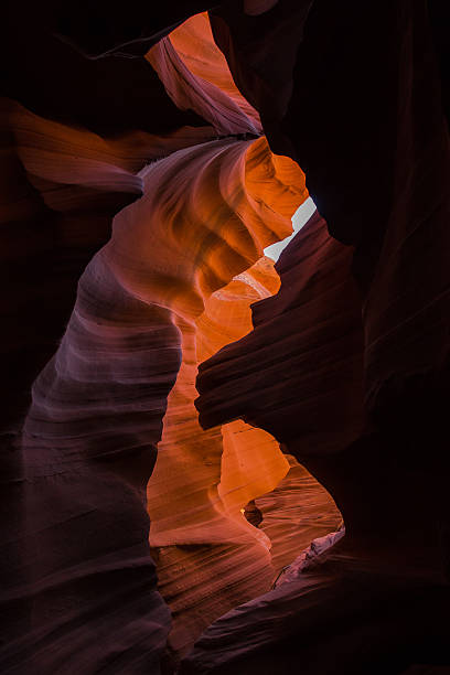 istock Rock formation in shape of lion head, Lower Antelope Canyon 475176781
