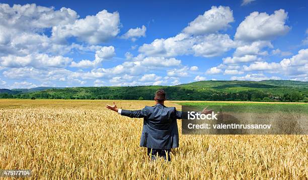 Businessman Outside Harvest Stock Photo - Download Image Now - Agricultural Field, Farm, Businessman