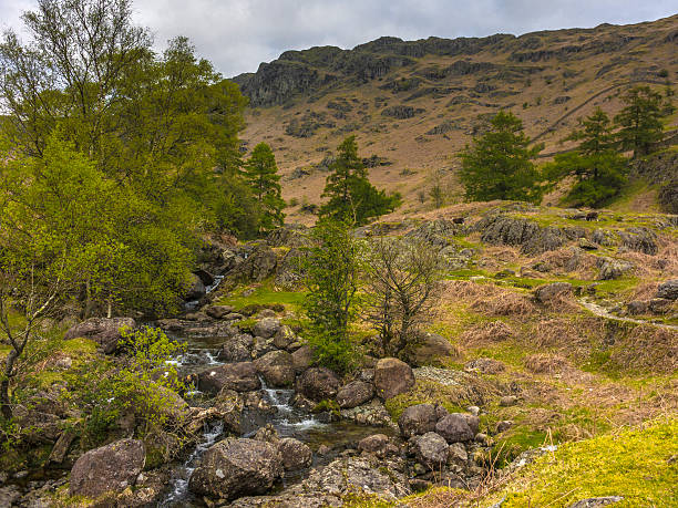 istock English County Landscape - Far Easedale Gill Ft. Herdwick Sheep 475177512