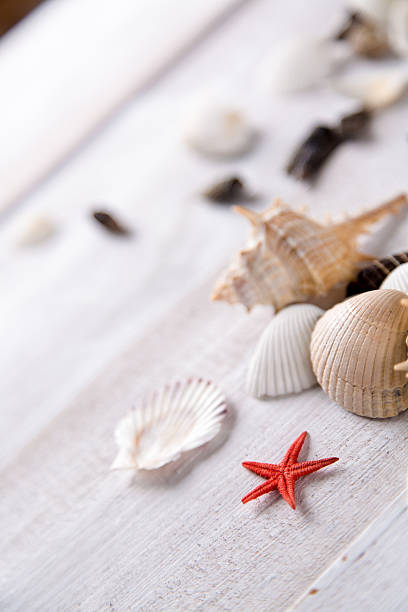 istock Sea and beach, natural colorful concept 475179962