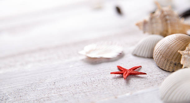 istock Sea and beach, natural colorful concept 475179974