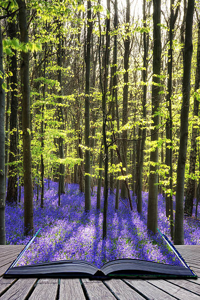 istock Creative concept image Stunning bluebell flowers in Spring fores 475182160