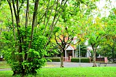 wundersch%C3%B6nen-park-mit-gr%C3%BCnen.