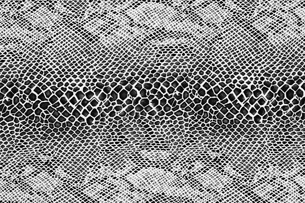 texture of fabric striped snake leather