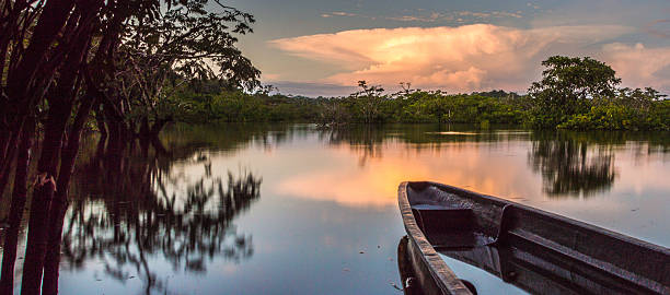 istock Landscape with canoe  - Cuyabeno Wildlife Reserve 475185844