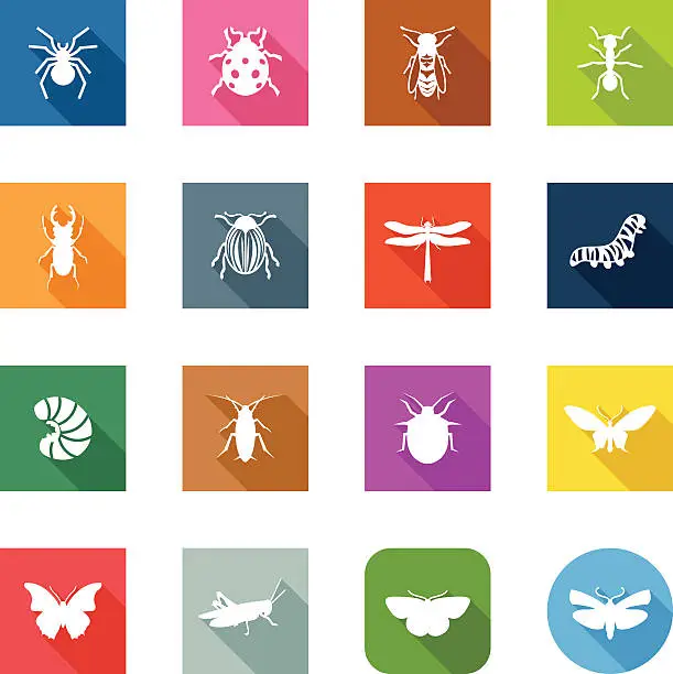 Vector illustration of Flat Icons - Insects