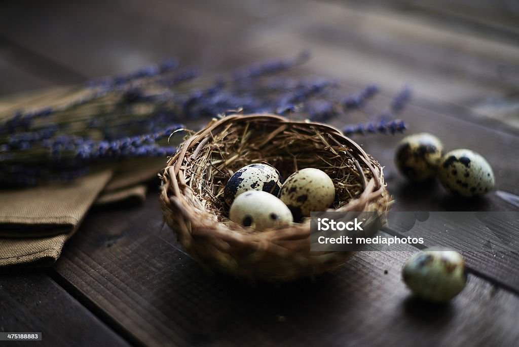 Huevos en ramita nest - Foto de stock de Alimento libre de derechos