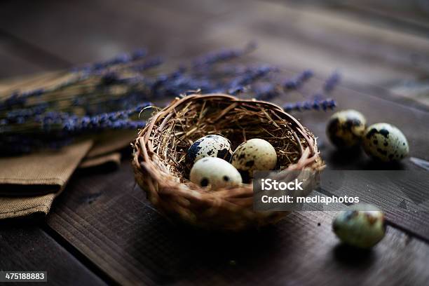 Huevos En Ramita Nest Foto de stock y más banco de imágenes de Alimento - Alimento, Colesterol, Comida sana