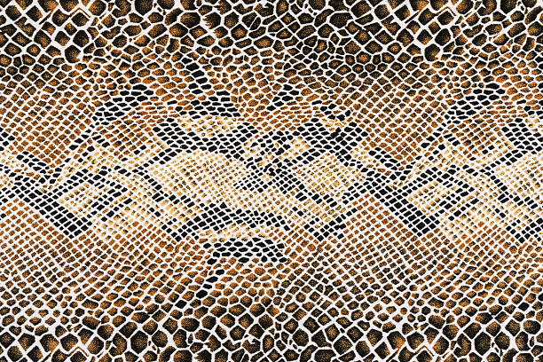 istock texture of fabric striped snake leather 475192312