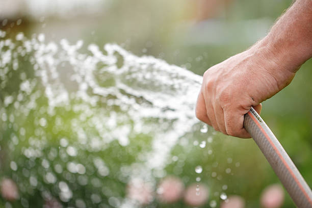 tenant tube tuyau eau en caoutchouc.   arroser - spraying water photos et images de collection