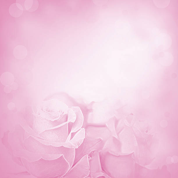 istock Pink background with rose flowers 475193408