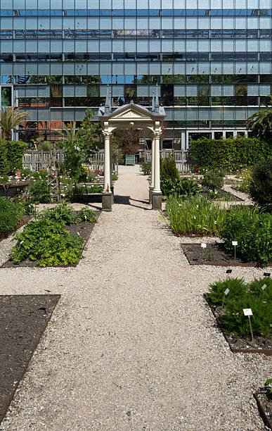 istock 16th century hortus botanicus with 21th century greenhouse 475193636