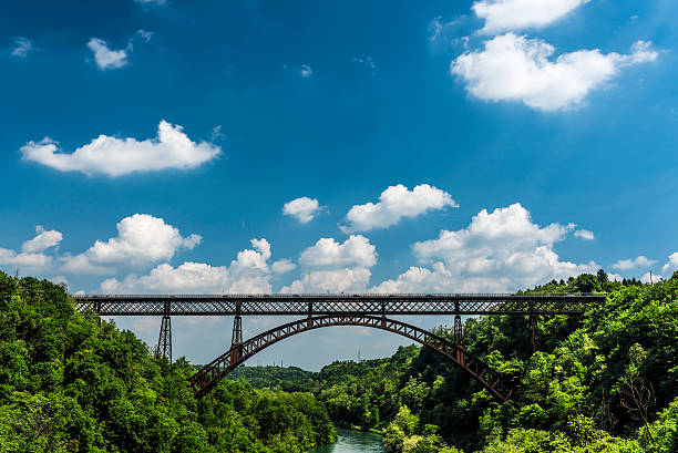 istock italian iron bridge surrounded by a forest 475193842