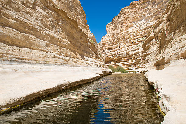 istock Canyon Ein-Avdat in the Negev desert. 475193978