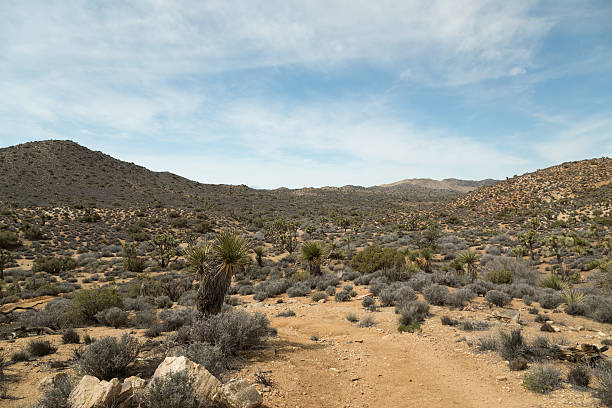 Lost Horse Mine Trail