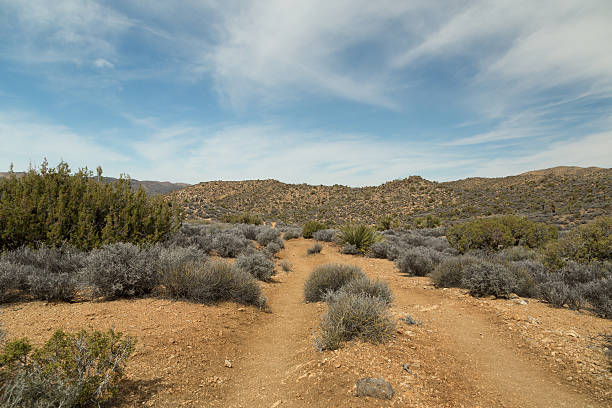 istock Lost Horse Mine Trail 475195542