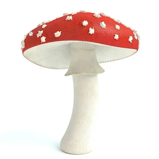 3d illustration of an amanita mushroom