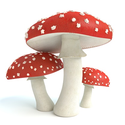 3d illustration amanita mushrooms