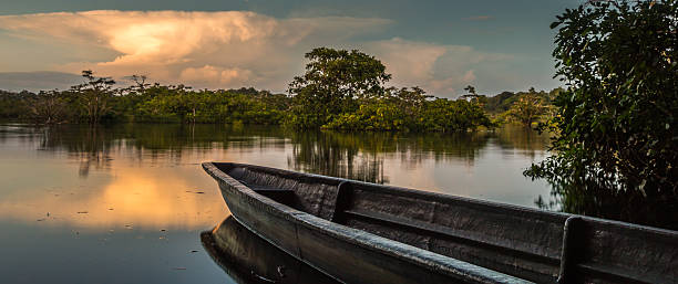 istock Landscape with canoe  - Cuyabeno Wildlife Reserve 475196218