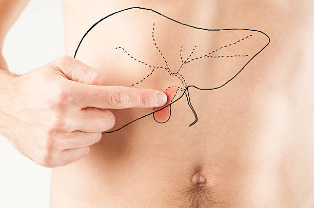 Young male adult pointing at painted gallbladder on his belly stock photo