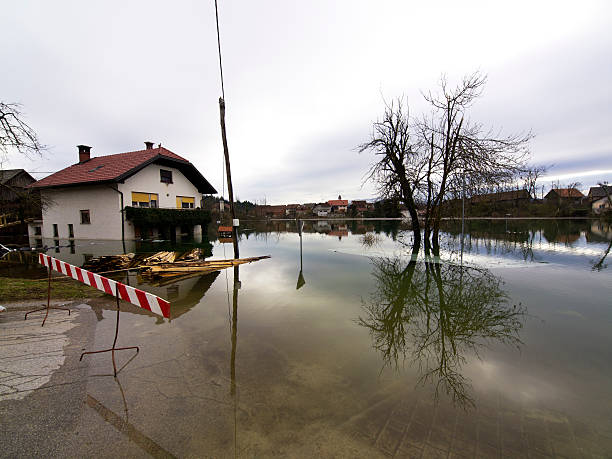 doskonałe powódź - planinsko polje zdjęcia i obrazy z banku zdjęć