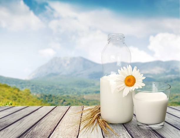 istock Milk, Glass, Milk Bottle 475200704