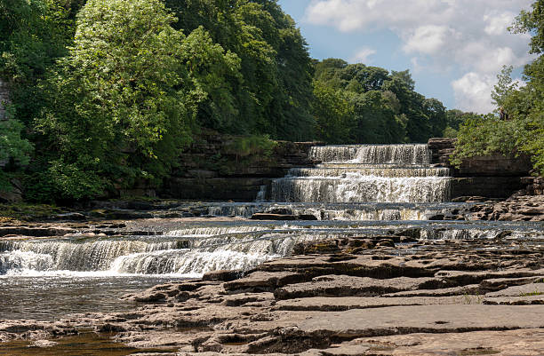 aysgarth falls, dans le yorkshire dales - wensleydale photos et images de collection