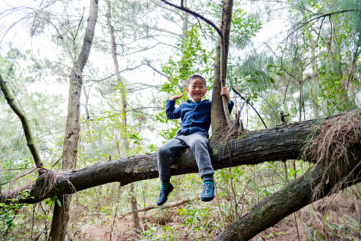 Little boy sitting on branch of a tree.
