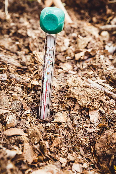 istock Garden soil thermometer in the ground at sixty degrees 475211624