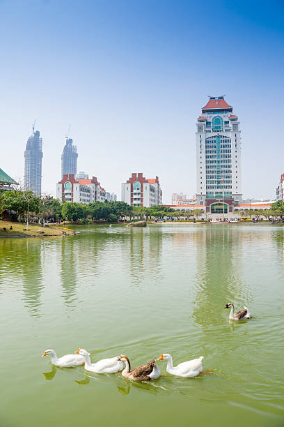 istock Building of xiamen university 475211753