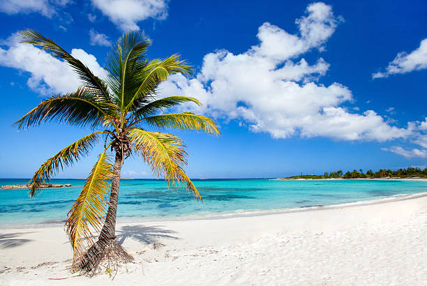 Beautiful Caribbean beach Beautiful tropical beach at Exuma Bahamas exuma stock pictures, royalty-free photos & images