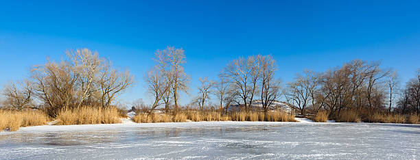 istock winter landscape on the lake 475212679