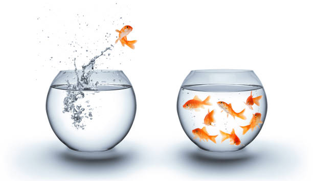 istock team and alliance concept 475216309