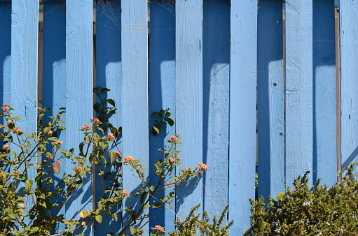 Greek blue wood fence with flowers in front of it.