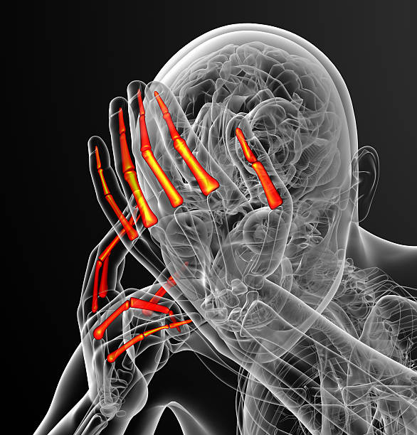 istock 3d render illustration of the human phalanges hand 475218654