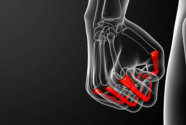 istock 3d render illustration of the human phalanges hand 475218670