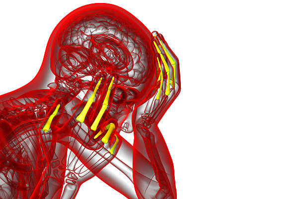 istock 3d render illustration of the human phalanges hand 475218714