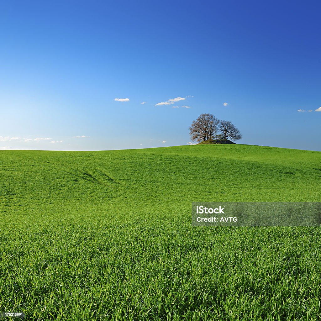 Prehistoric Burial Mound in Spring Field Landscape STITCHED from 2 D800 frames Agricultural Field Stock Photo
