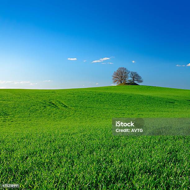 Prehistoric Burial Mound In Spring Field Landscape Stock Photo - Download Image Now - Agricultural Field, Agriculture, Ancient