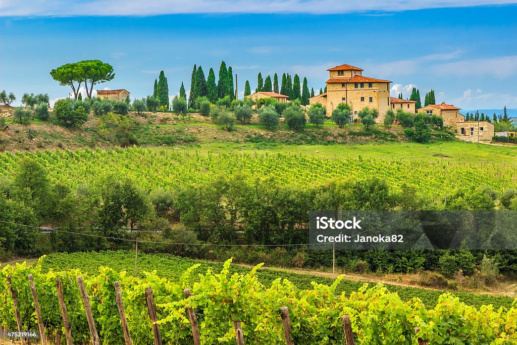 Chianti vineyard landscape with stone house,Tuscany,Italy,Europe Typical Tuscany stone house with stunning vineyard in the Chianti region,Tuscany,Italy,Europe Tuscany Stock Photo