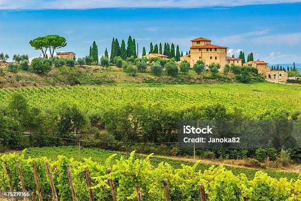 Chianti Vineyard Landscape With Stone Housetuscanyitalyeurope Stock Photo - Download Image Now