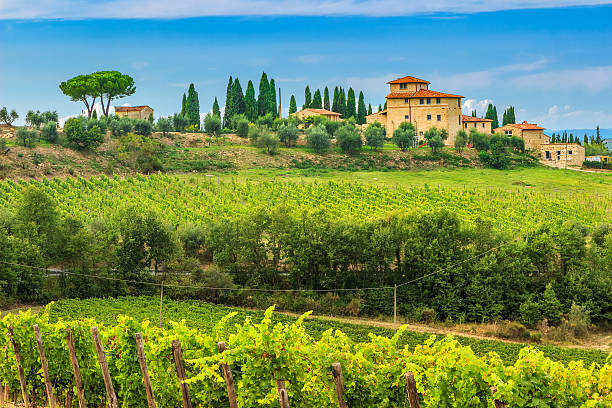 кьянти виноградник пейзаж с каменный дом, тоскана, италия, европа - tuscany vineyard italy agriculture стоковые фото и изображения