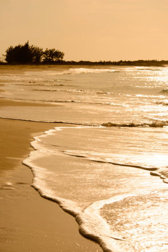 Beautiful shore on a beach.