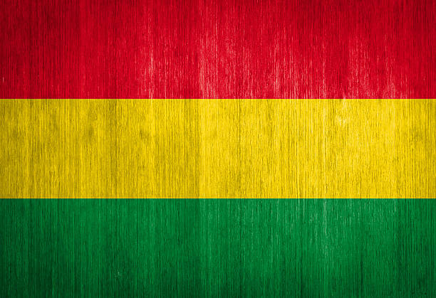 istock Bolivia Flag on wood background 475223587